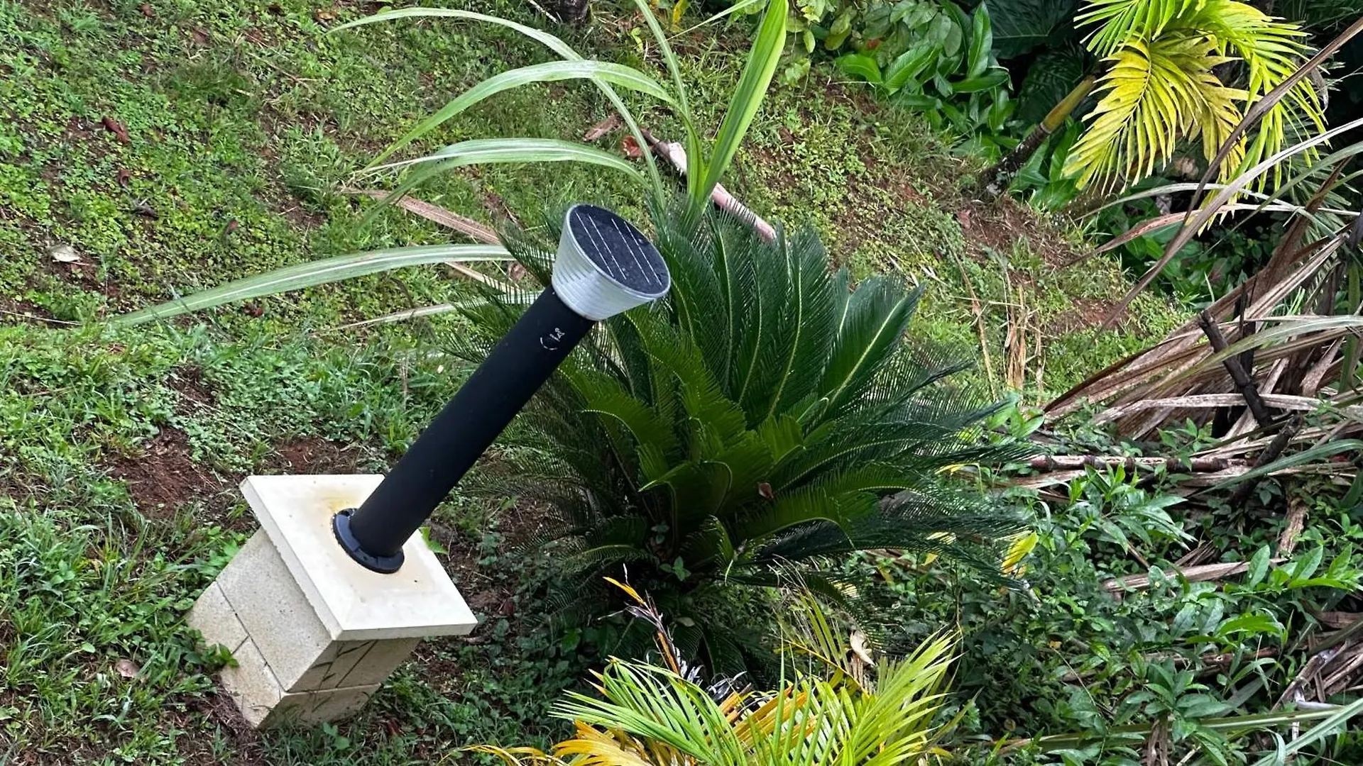 Chez Francis Lejlighed Petit-Bourg Guadeloupe